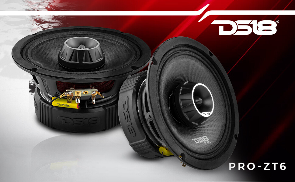 Pair DS18 PRO-ZT6 6.5\