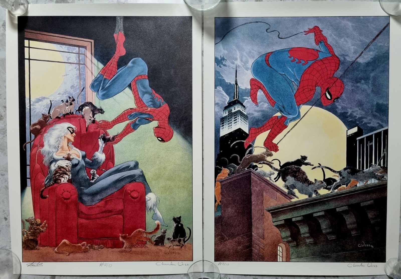 SPIDER-MAN: \ SPIDER-MAN: \