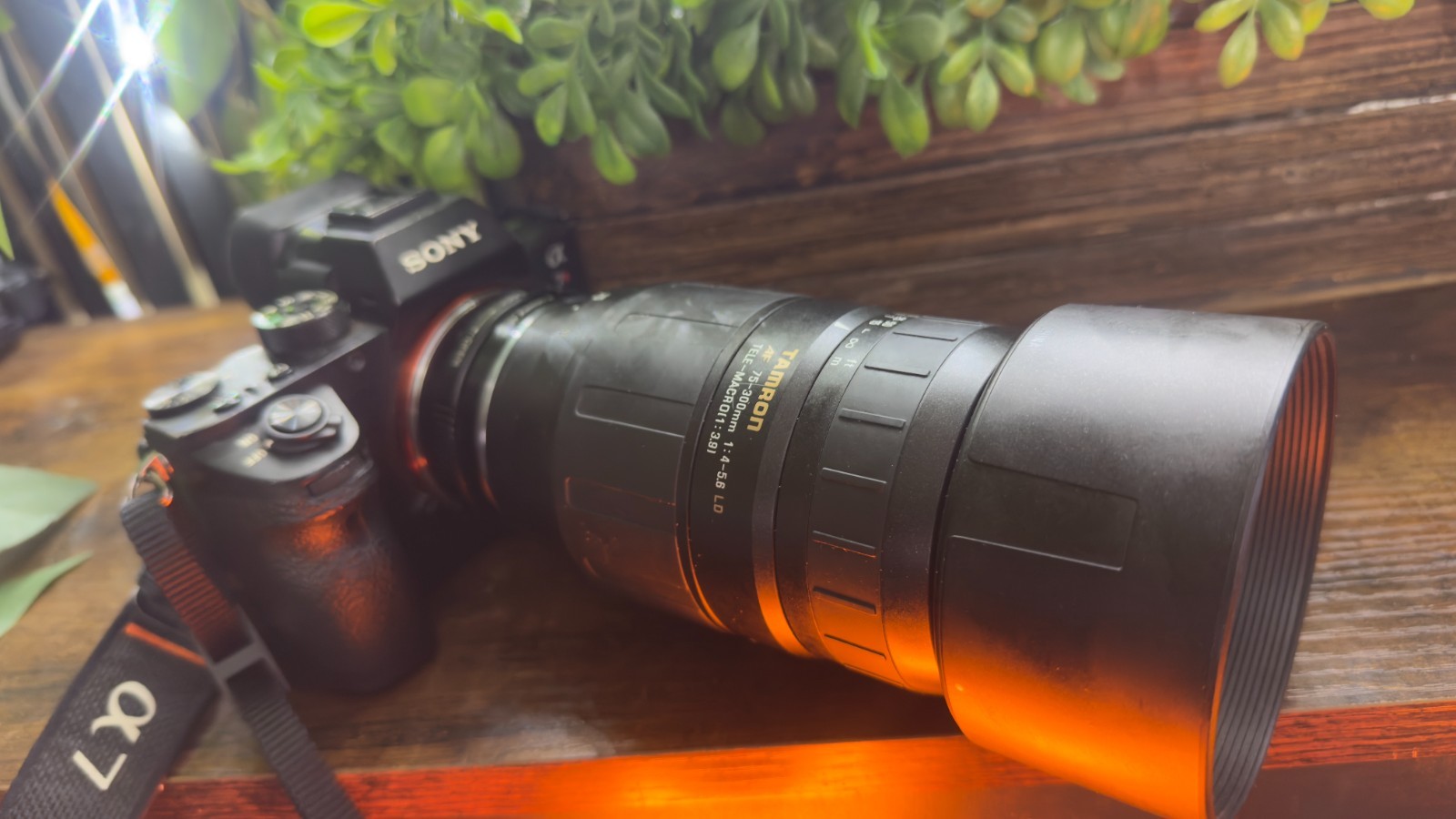 Tamron 75-300mm Zoom Lens Sony E Mount Adapted Tamron 75-300mm Zoom Lens Sony E Mount Adapted