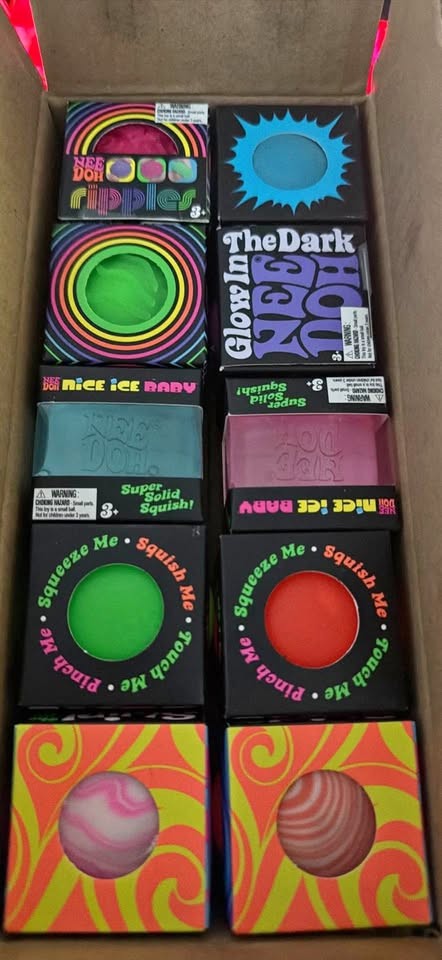 NeeDoh Teenie 10pack AUTHENTIC NEW Schylling Variety Box Squish Toys Lot Stress