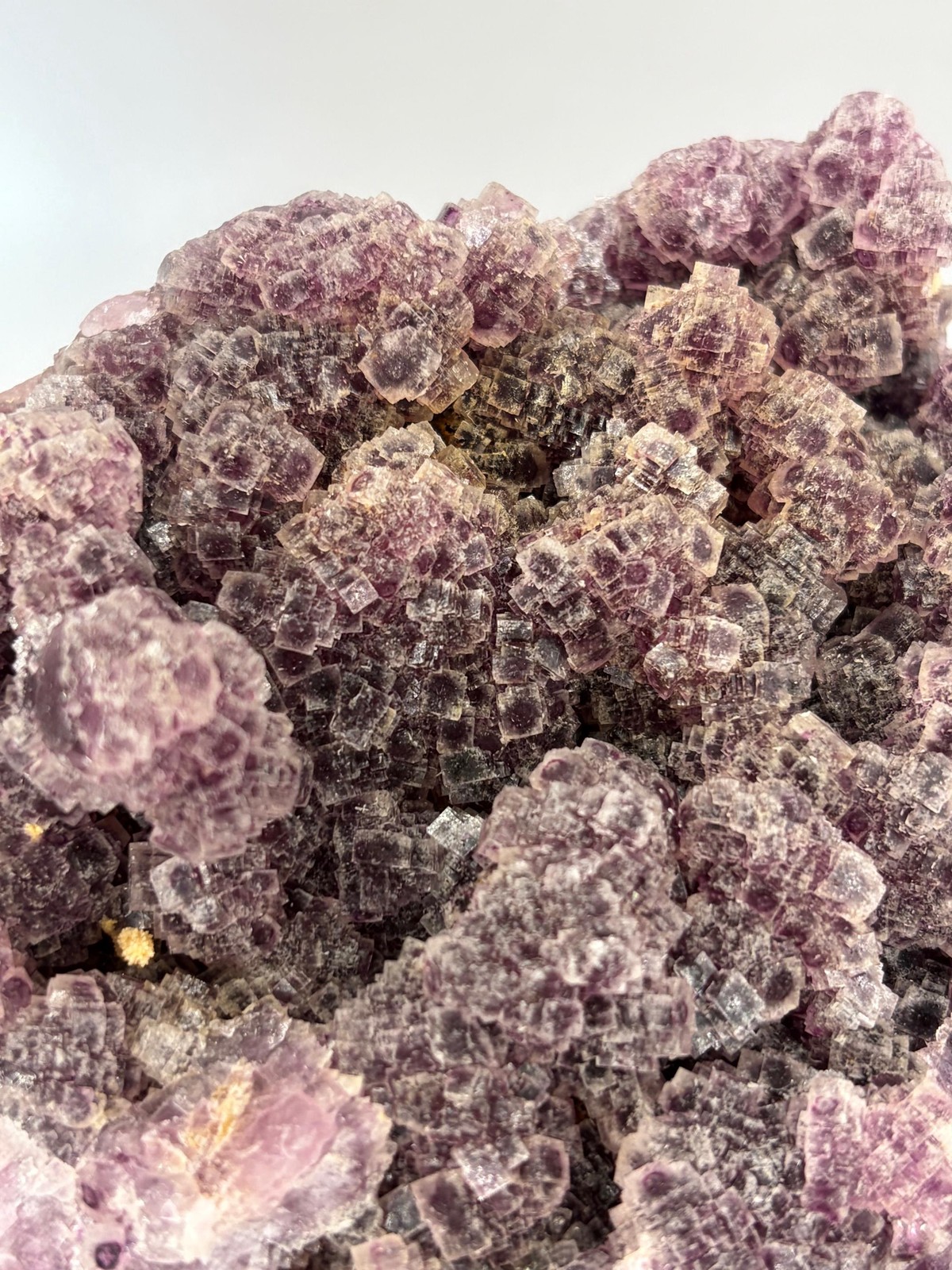 XL Double Sided Magenta Fluorite Cube Cluster