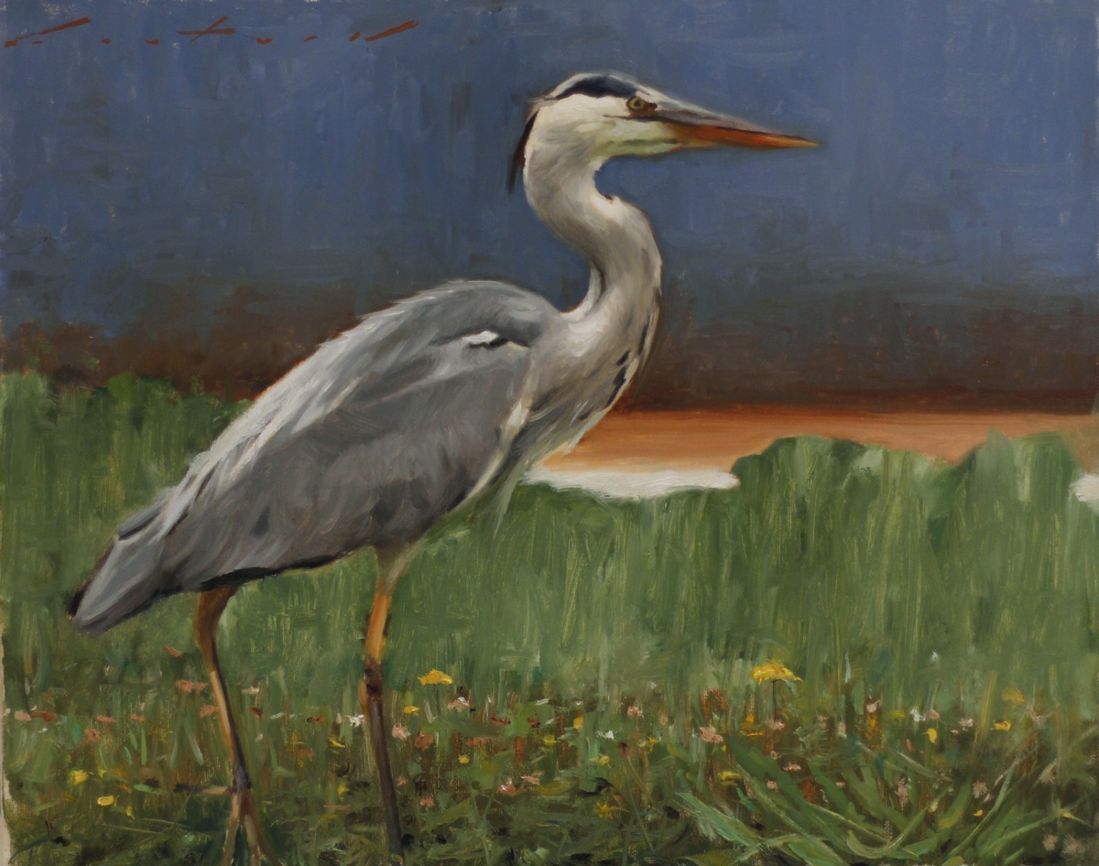 Blue Heron - Original oil painting 16\ Blue Heron - Original oil painting 16\