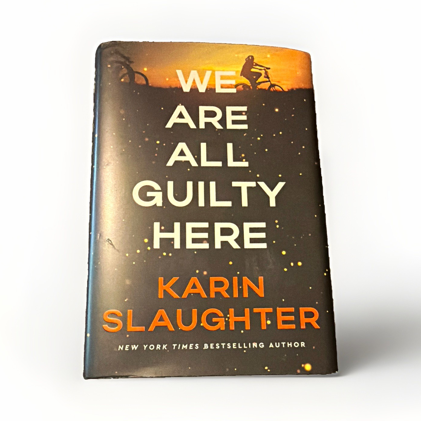 Karin Slaughter We Are All Guilty Here 2025 Hardcover North Falls Dust Jacket Karin Slaughter We Are All Guilty Here 2025 Hardcover North Falls Dust Jacket