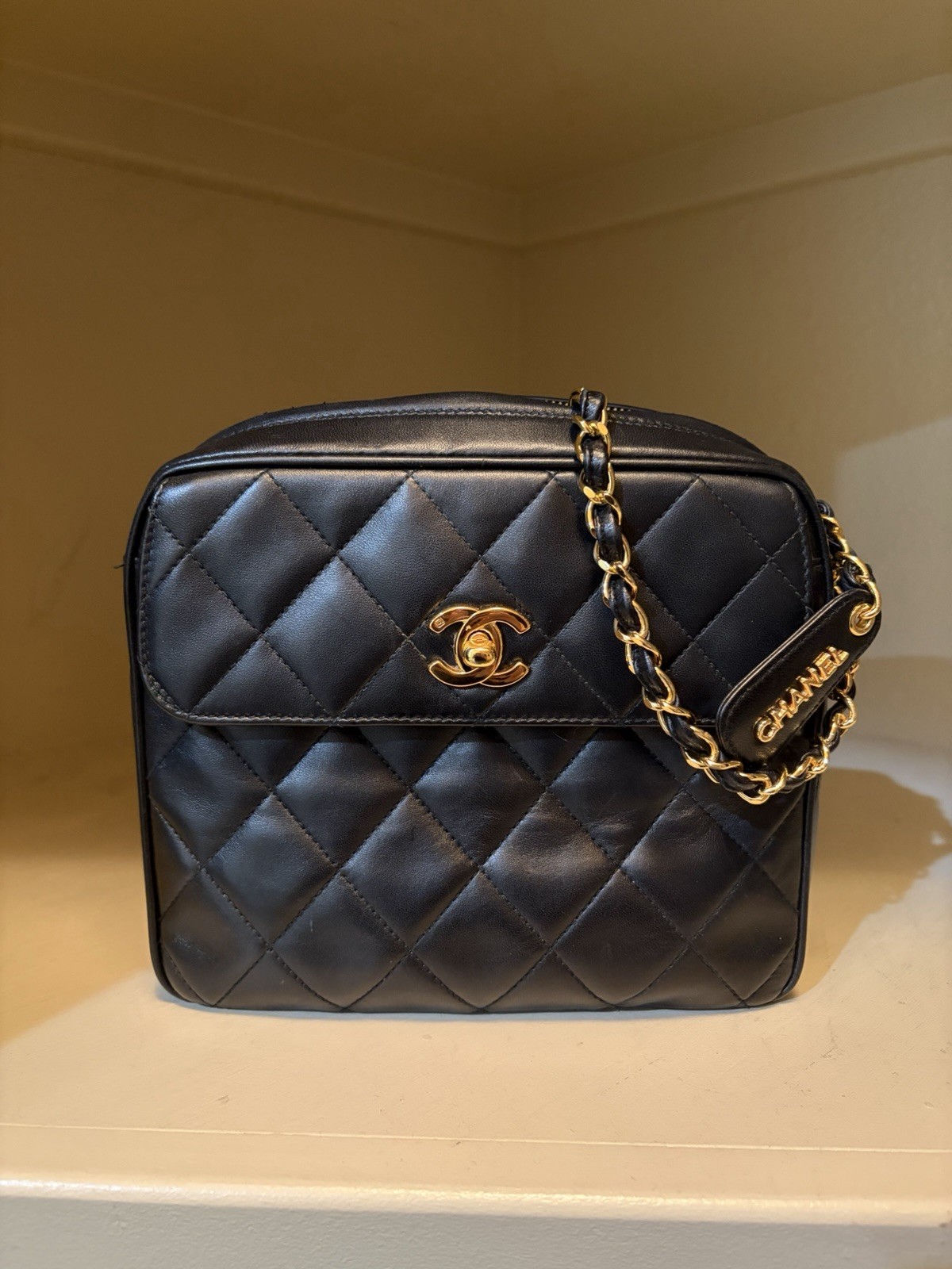 CHANEL Vintage Leather Camera Bag