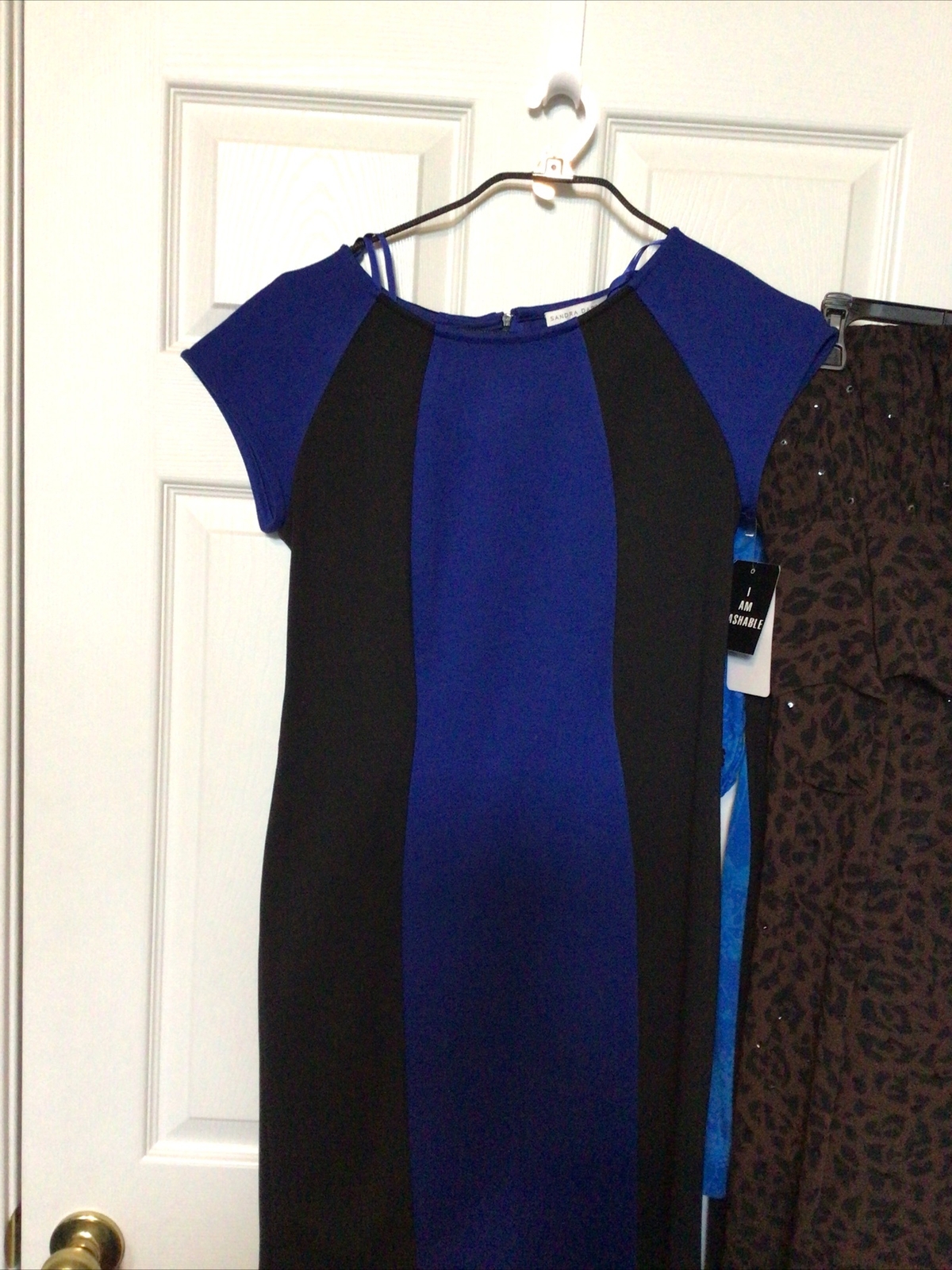 NWT Sandra Darren Women\'s Dress Shift 6 Black Blue Scoop Neck