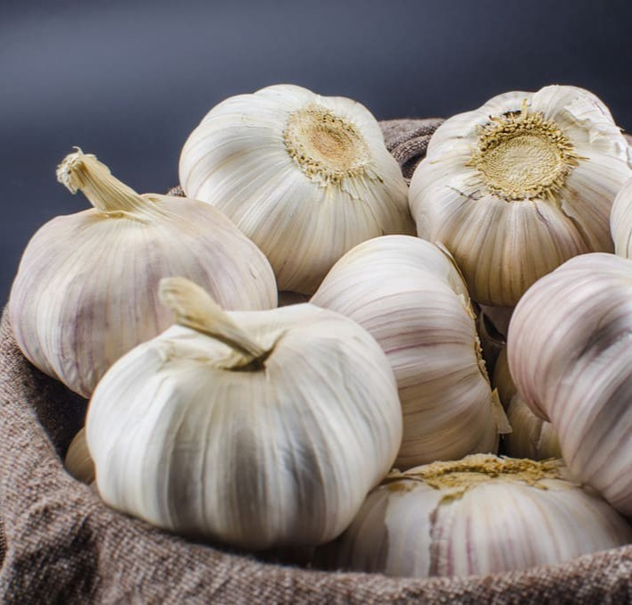 Non-GMO California Early Softneck Garlic | 2026 Heirloom Seeds for Fall Garden P