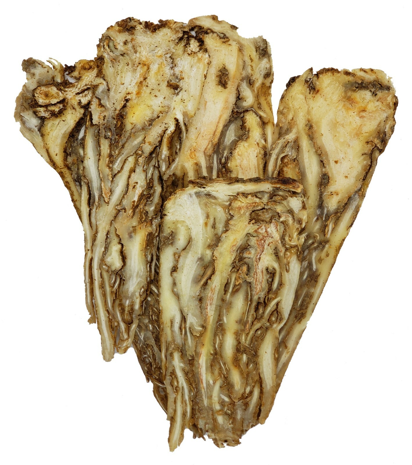 Dang Gui | Whole Dang Gui Roots Slices | Excellent Medicinal Grade | Fresh 当归