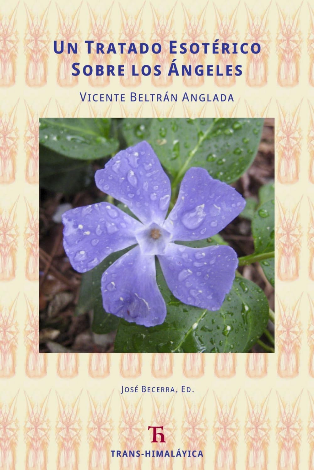 Un Tratado Esotérico Sobre Los Ángeles (Spanish Edition)