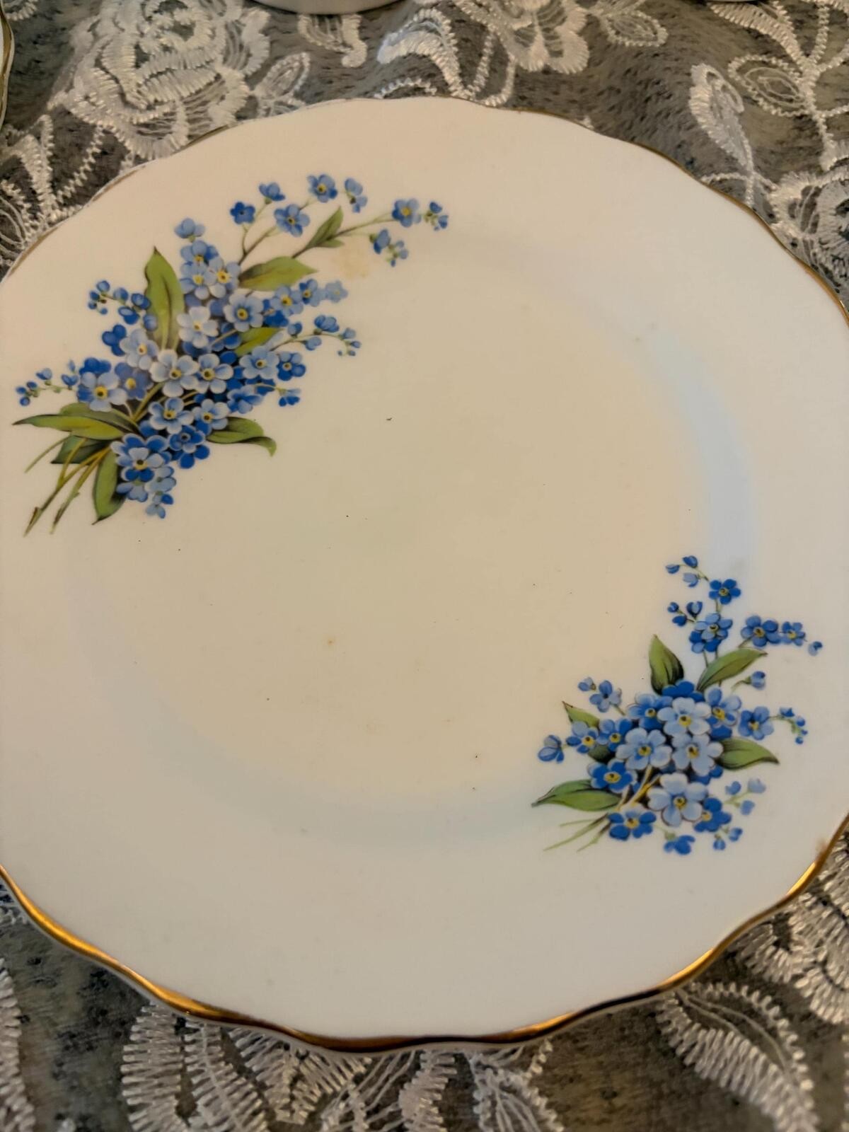 Rosina Fine Bone China Plates and Cups – Forget-Me-Not Pattern Set
