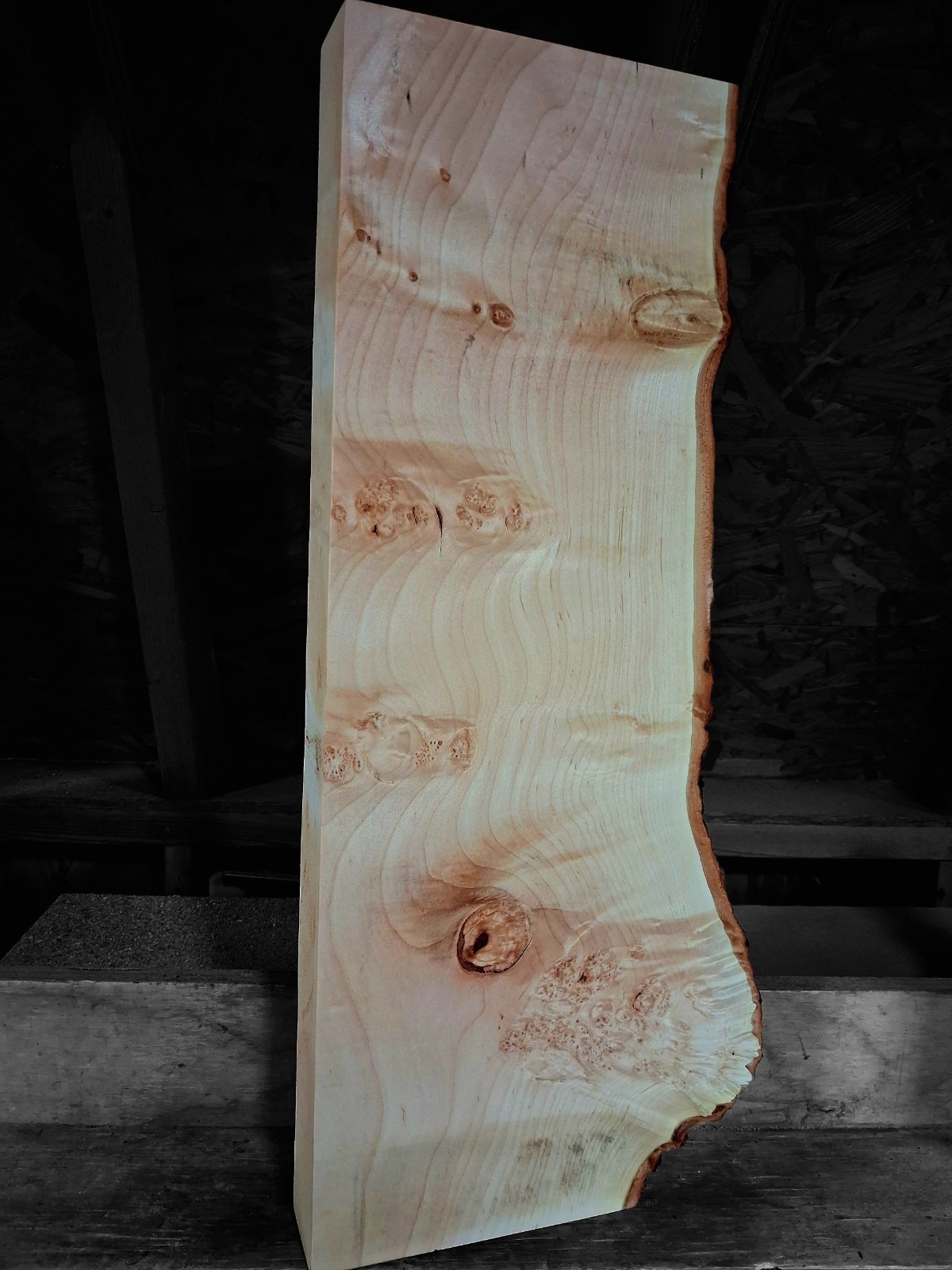 XL CURLY BIRDSEYE MAPLE BURL Wood Blank, Turning Wood, Curly Maple CRAFT wood