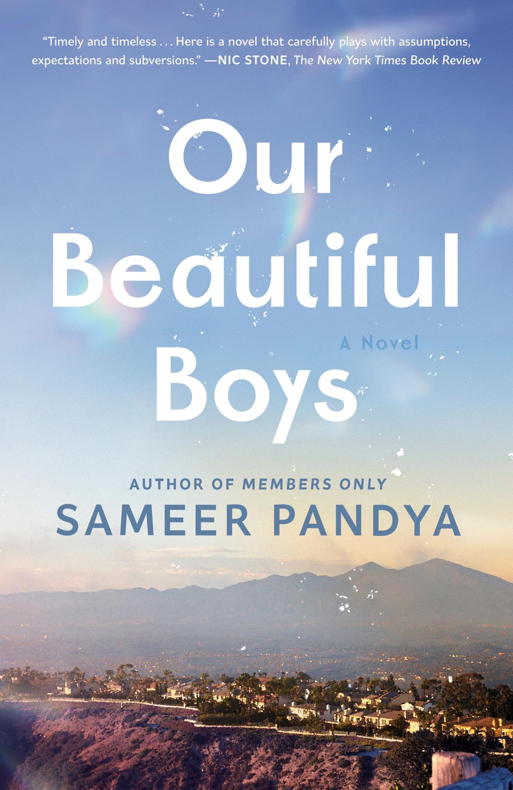 Our Beautiful Boys: A Novel