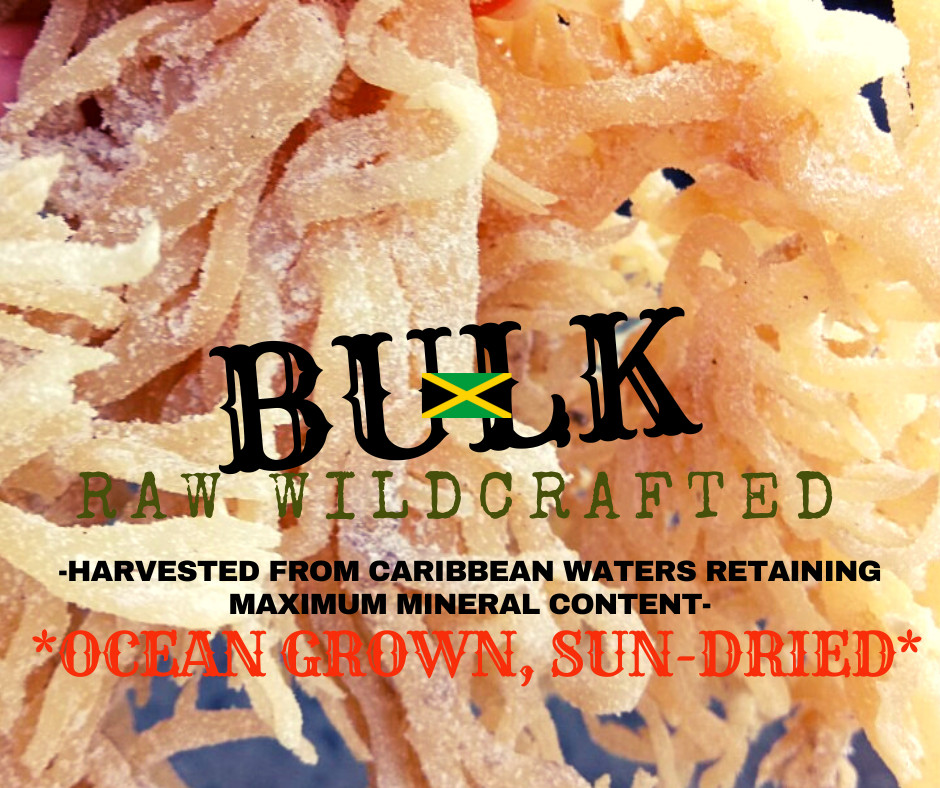 Rastarafi Sea Moss Irish Moss (Bulk) | Raw Wildcrafted Seamoss Superfood