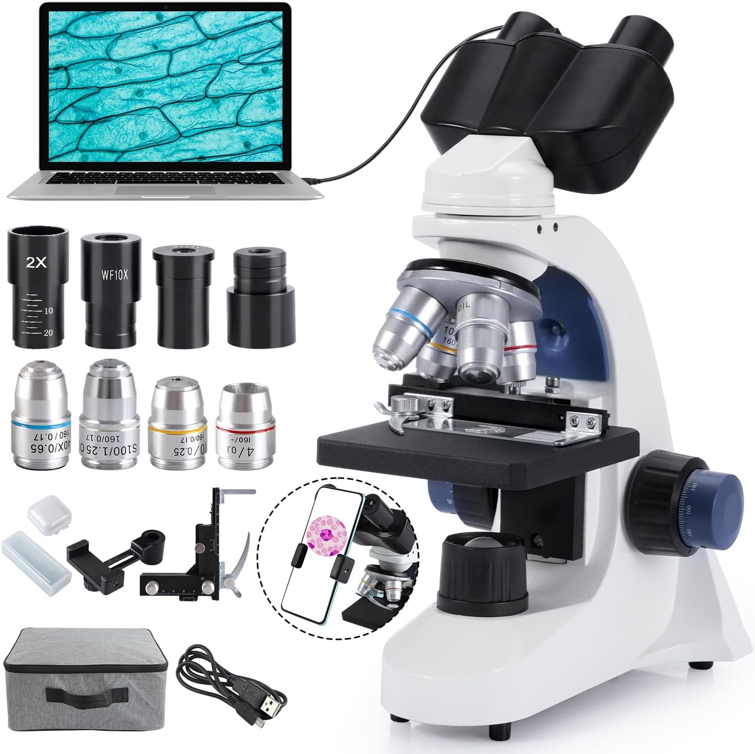 Lab Compound Binocular Microscope 40X-2500X Two-Layer Mechanical Stage LED