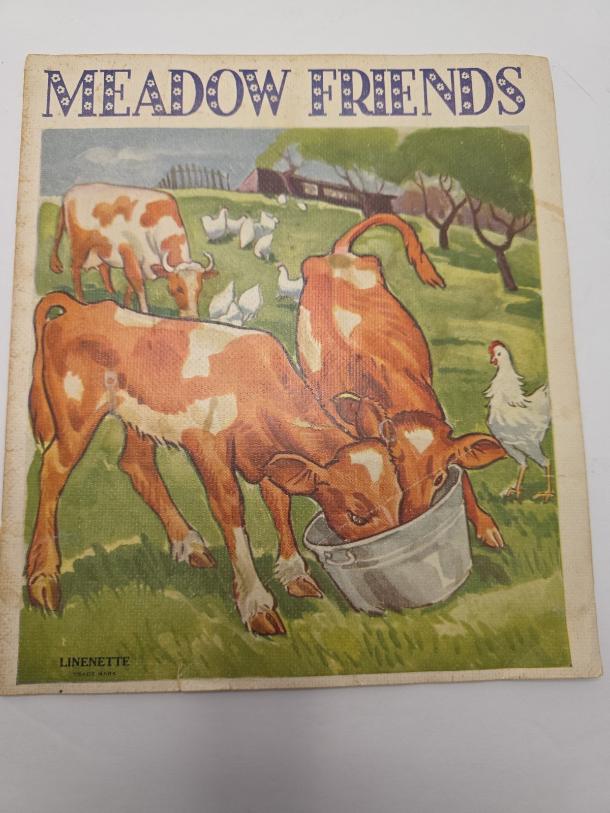 Vintage Sam\'l Gabriel Sons & Co. MEADOW FRIENDS Illustrated Childrens Book . Vintage Sam\'l Gabriel Sons & Co. MEADOW FRIENDS Illustrated Childrens Book .