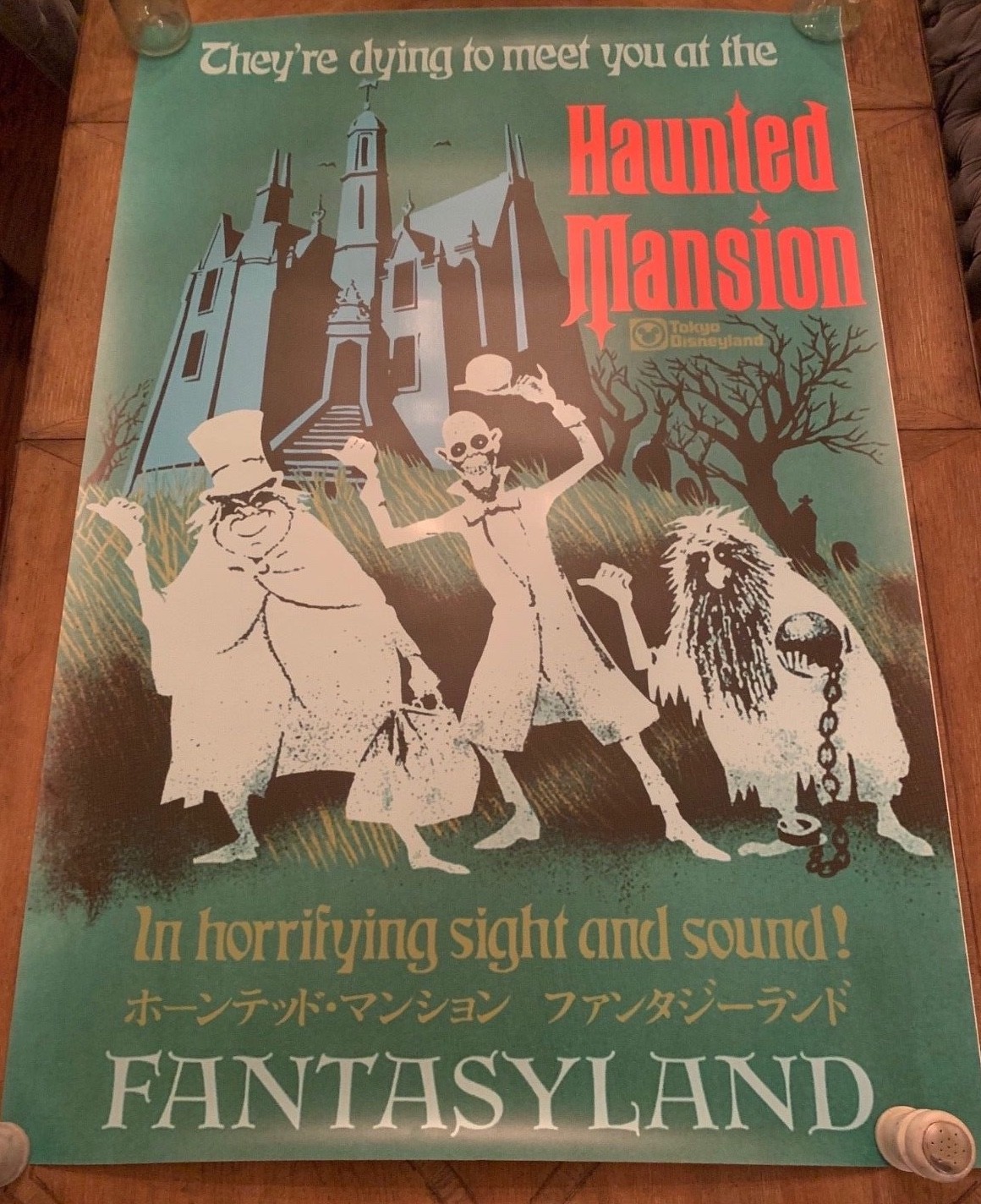 Disneyland Tokyo ATTRACTION POSTER 36x54