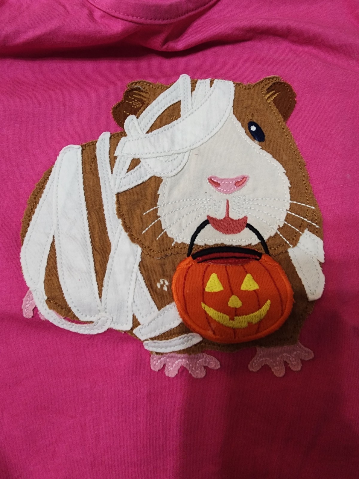 New Mini Boden Guinea Pig Halloween Appliqué Pink Lift A Flap Top Shirt 11 12