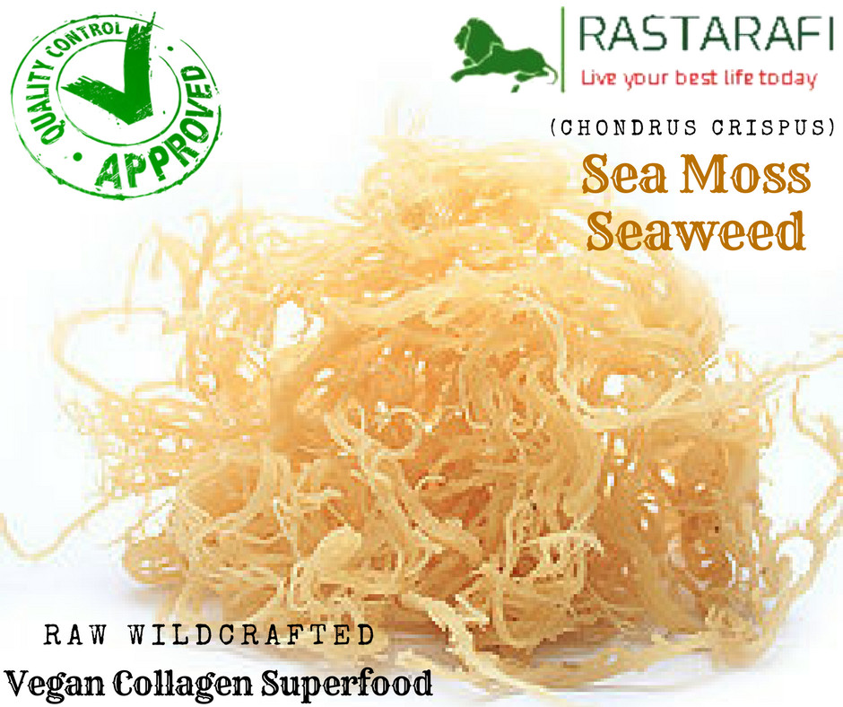 Rastarafi Whole Leaf Irish Moss Sea Moss 2 Lb | Raw Wildcrafted Superfood