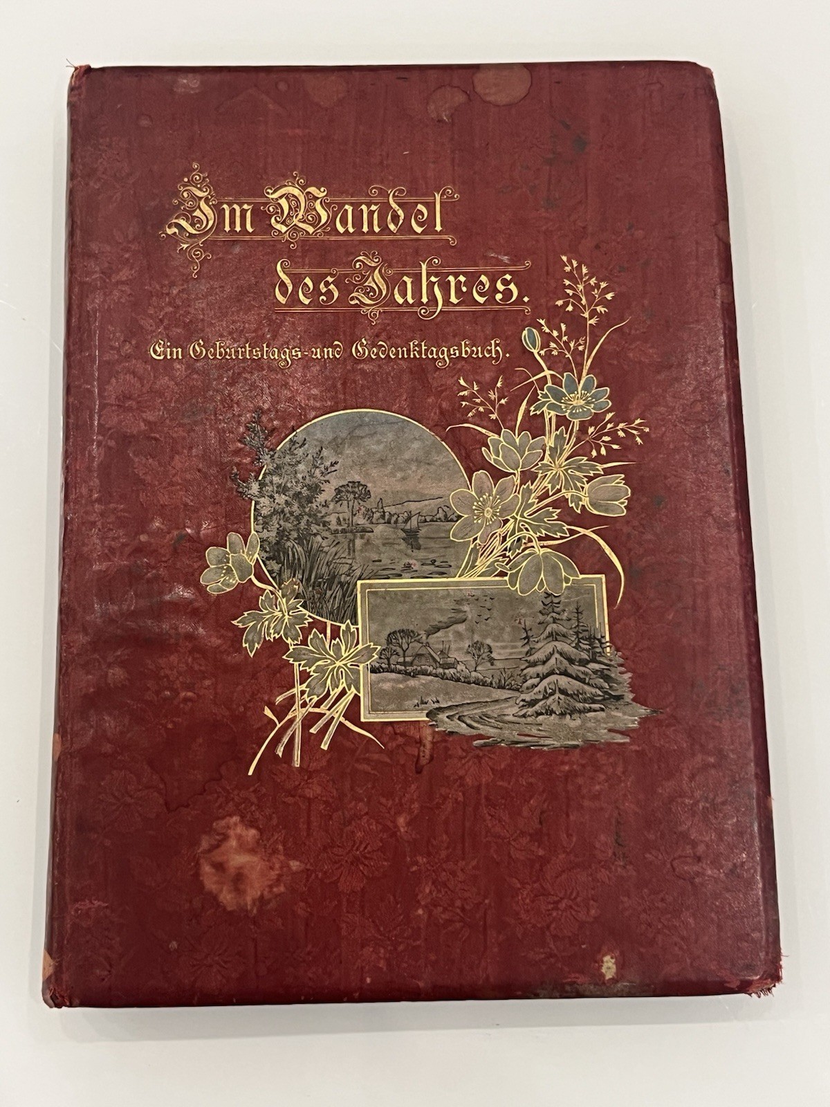 Antique 1890 German Birthday Book w/ Italian Family History, Trieste, NY, Brazil