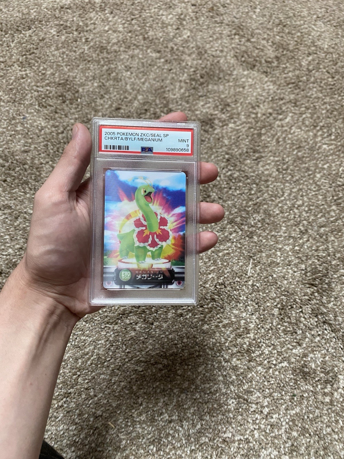 2005 CARDDASS POKEMON ADVANCED GENERATION BAYLEEF/CHIKORITA/MEGANIUM PSA 9