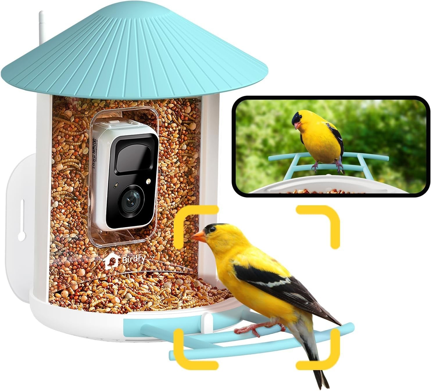 NETVUE by Birdfy Smart Bird Feeder with Camera Bird Watching Camera Auto Capture