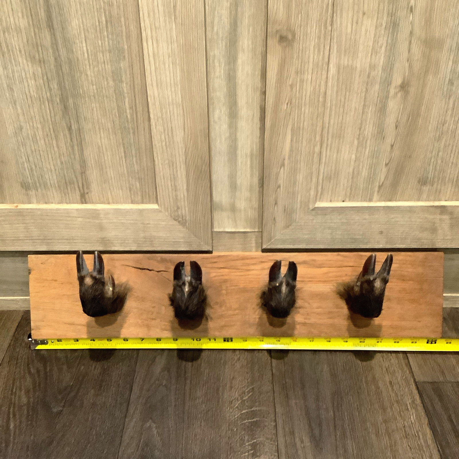 Vintage 4 hoof coat or gun rack Vintage 4 hoof coat or gun rack