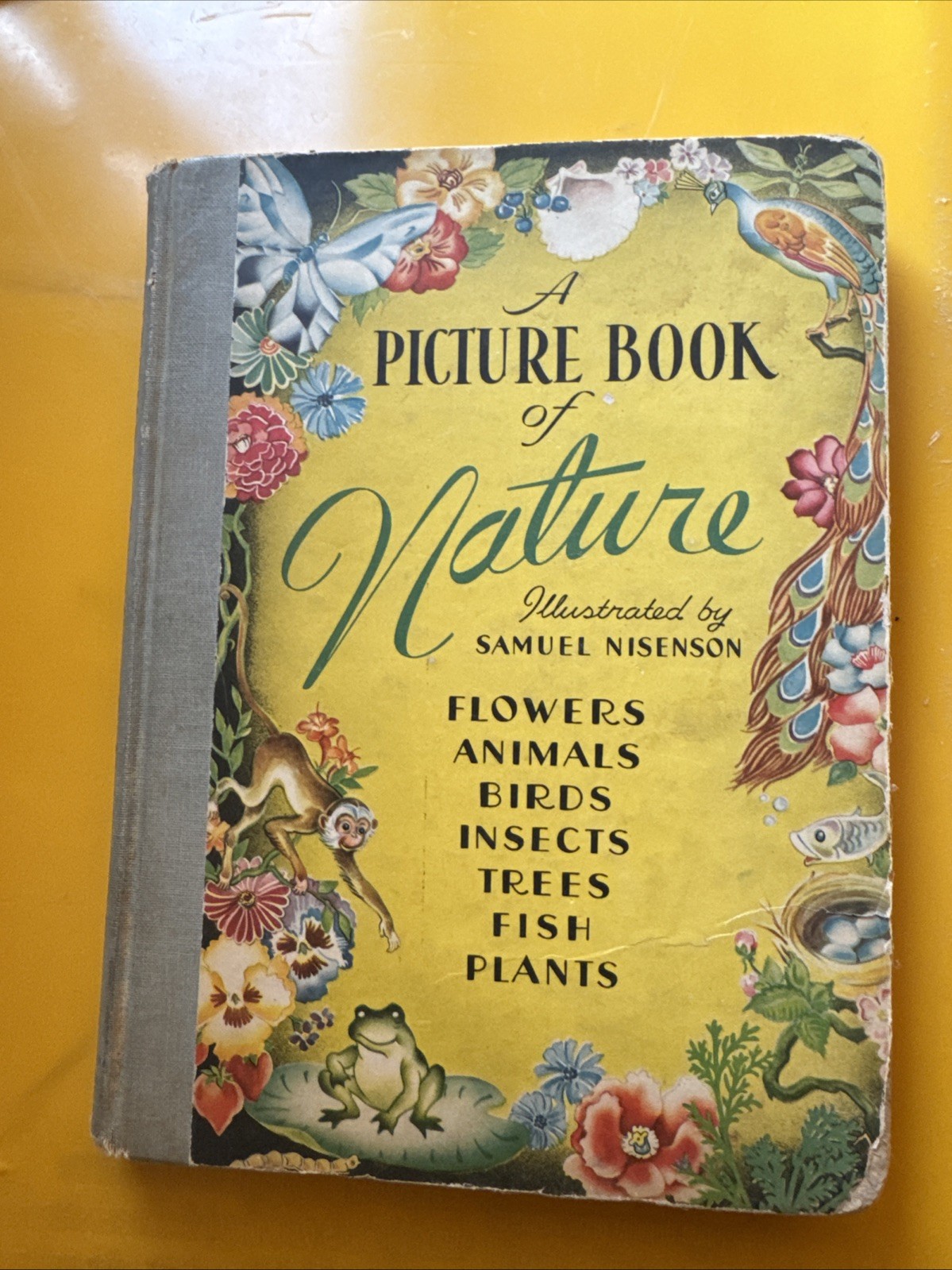 1943 a Picture Book of Nature Samuel Nisenson, Vintage Children\'s Illustrated