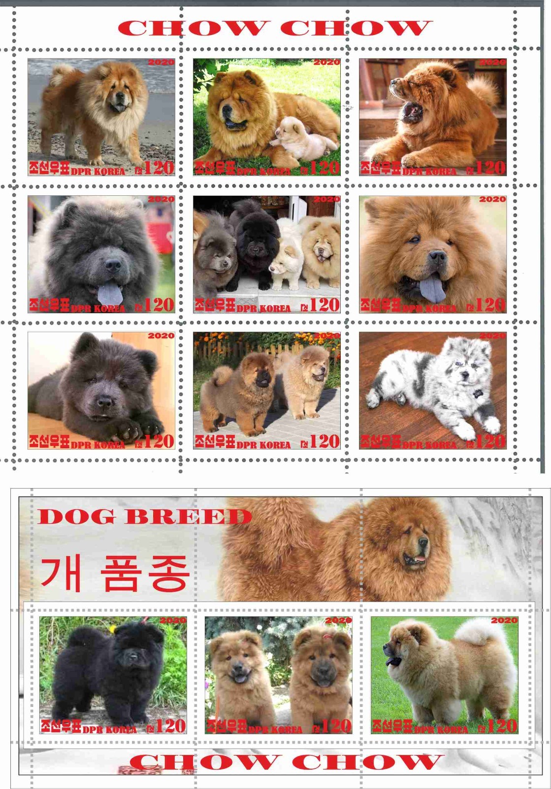 Stamp sheet+block Chow Chow 2020 issue Dogs