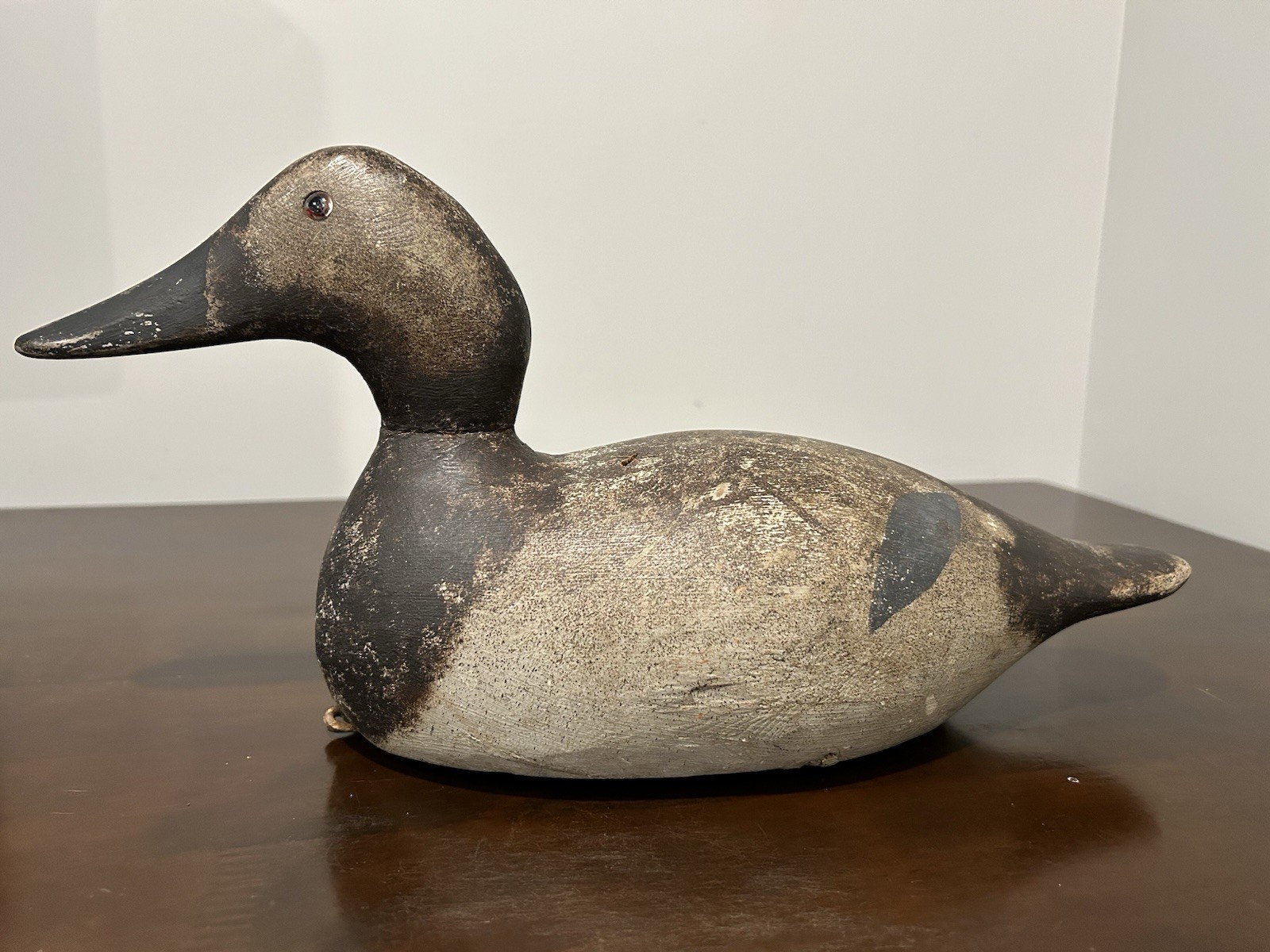 Evans Decoy Factory Canvasback Hen – Standard Grade (c. 1920–1940)