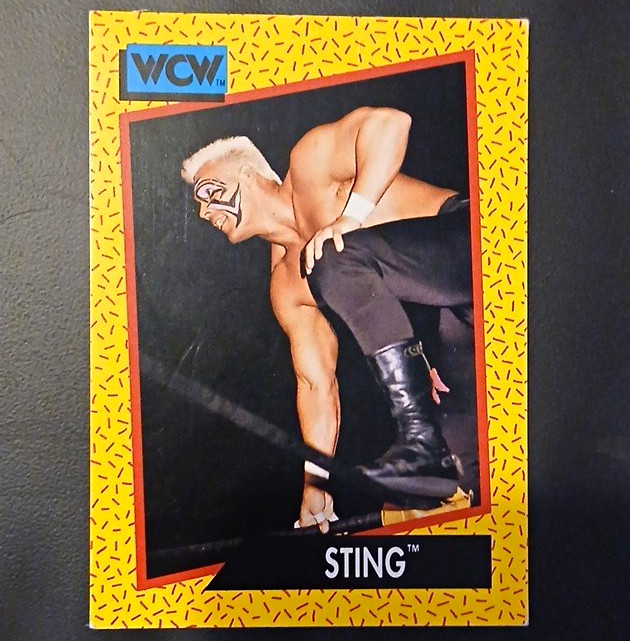 Impel 1991 Impel WCW Series Sting #13 Base Set Base Wrestling Trading Card Impel 1991 Impel WCW Series Sting #13 Base Set Base Wrestling Trading Card