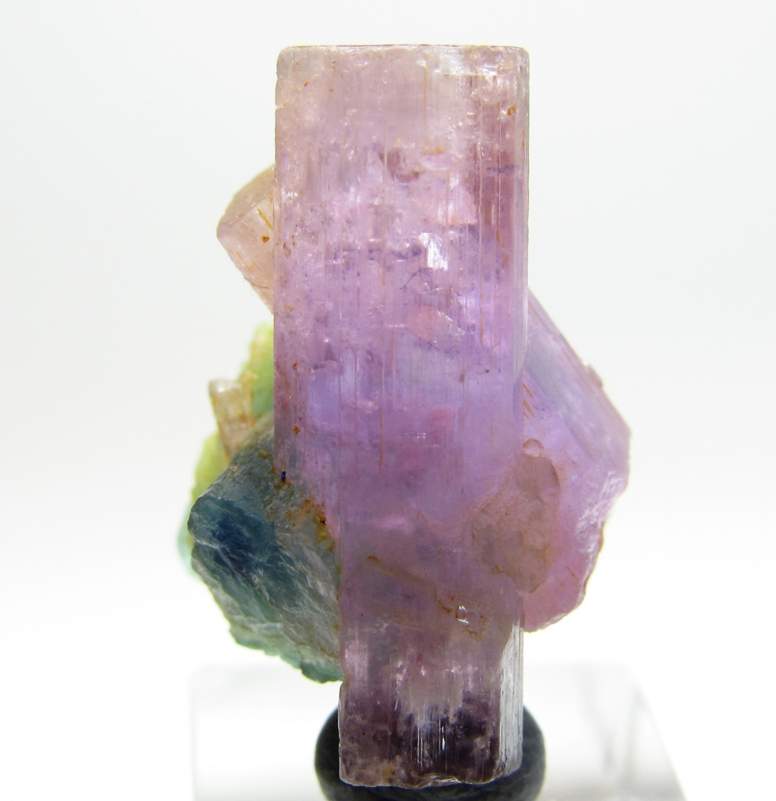ULTRA ELEGANT RARE GEM CLEAR FLUORAPATITE/ TOURMALINE CRYSTAL AFGHANISTAN 