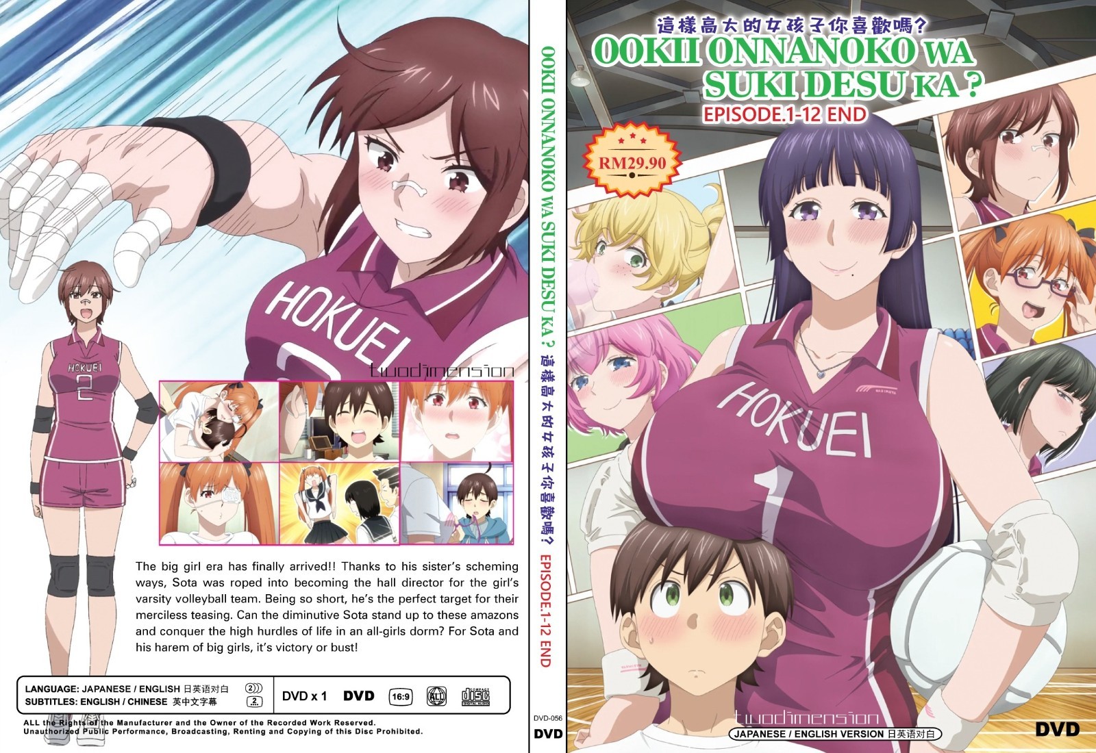 ANIME DVD~UNCUT~ENGLISH DUBBED~Ookii Onnanoko Wa Suki Desu Ka?(1-12End)+GIFT