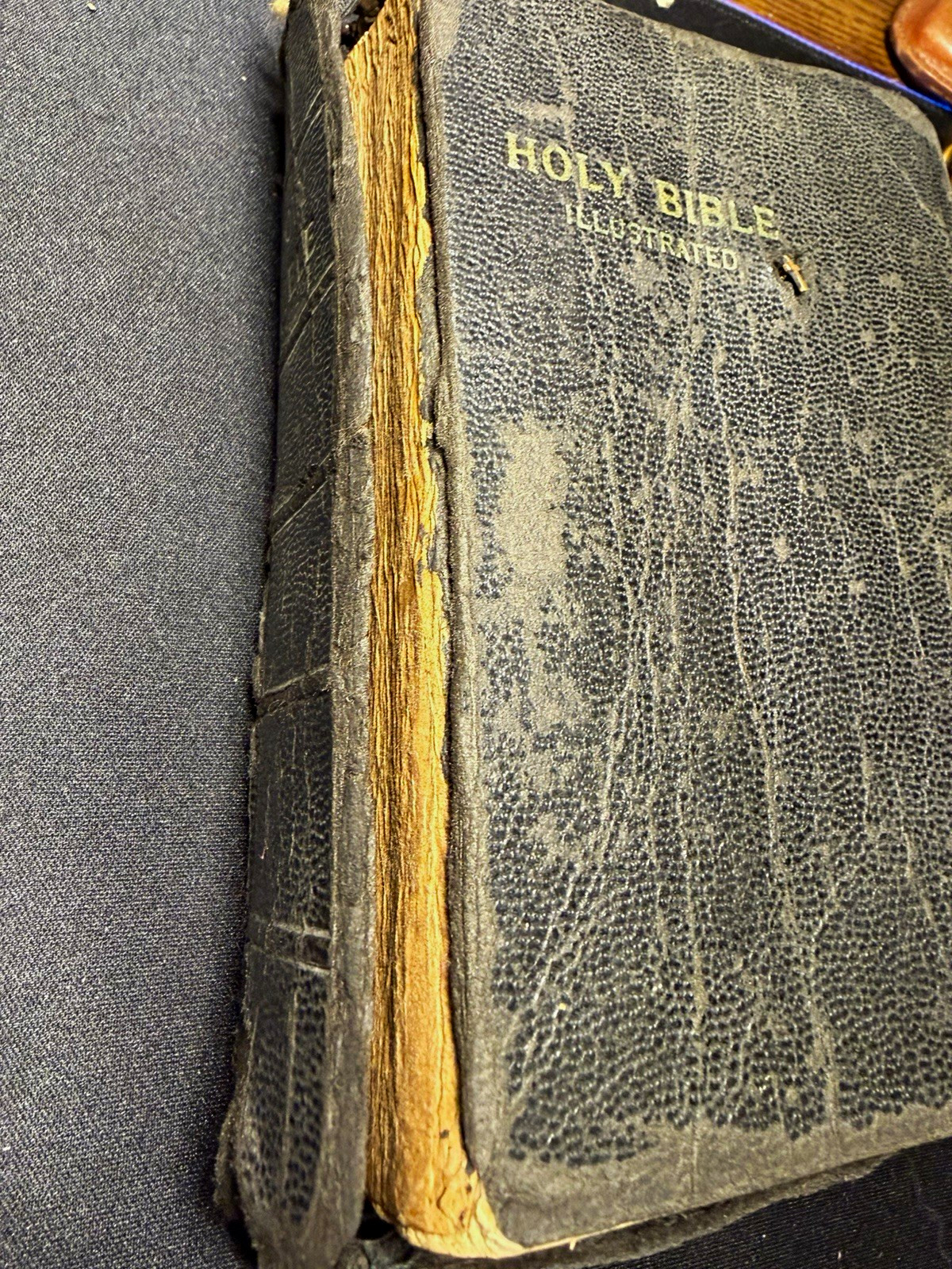 Antique Holy Bible Self-Pronouncing Edition Illustrated (Inscribed) with pin Antique Holy Bible Self-Pronouncing Edition Illustrated (Inscribed) with pin