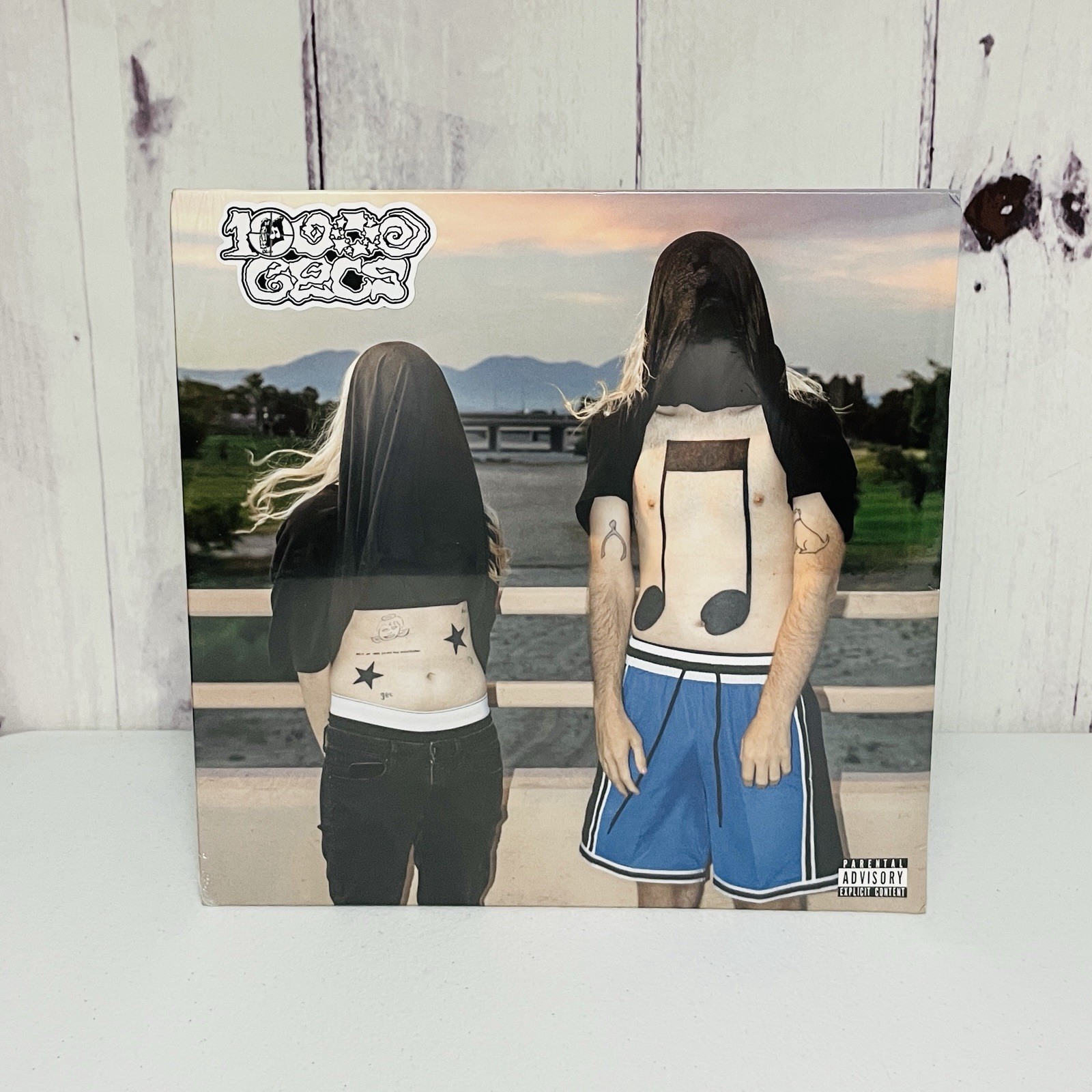10000 Gecs by 100 Gecs Vinyl Record 2023 Pressing Music LP Hyperpop Electropop 10000 Gecs by 100 Gecs Vinyl Record 2023 Pressing Music LP Hyperpop Electropop