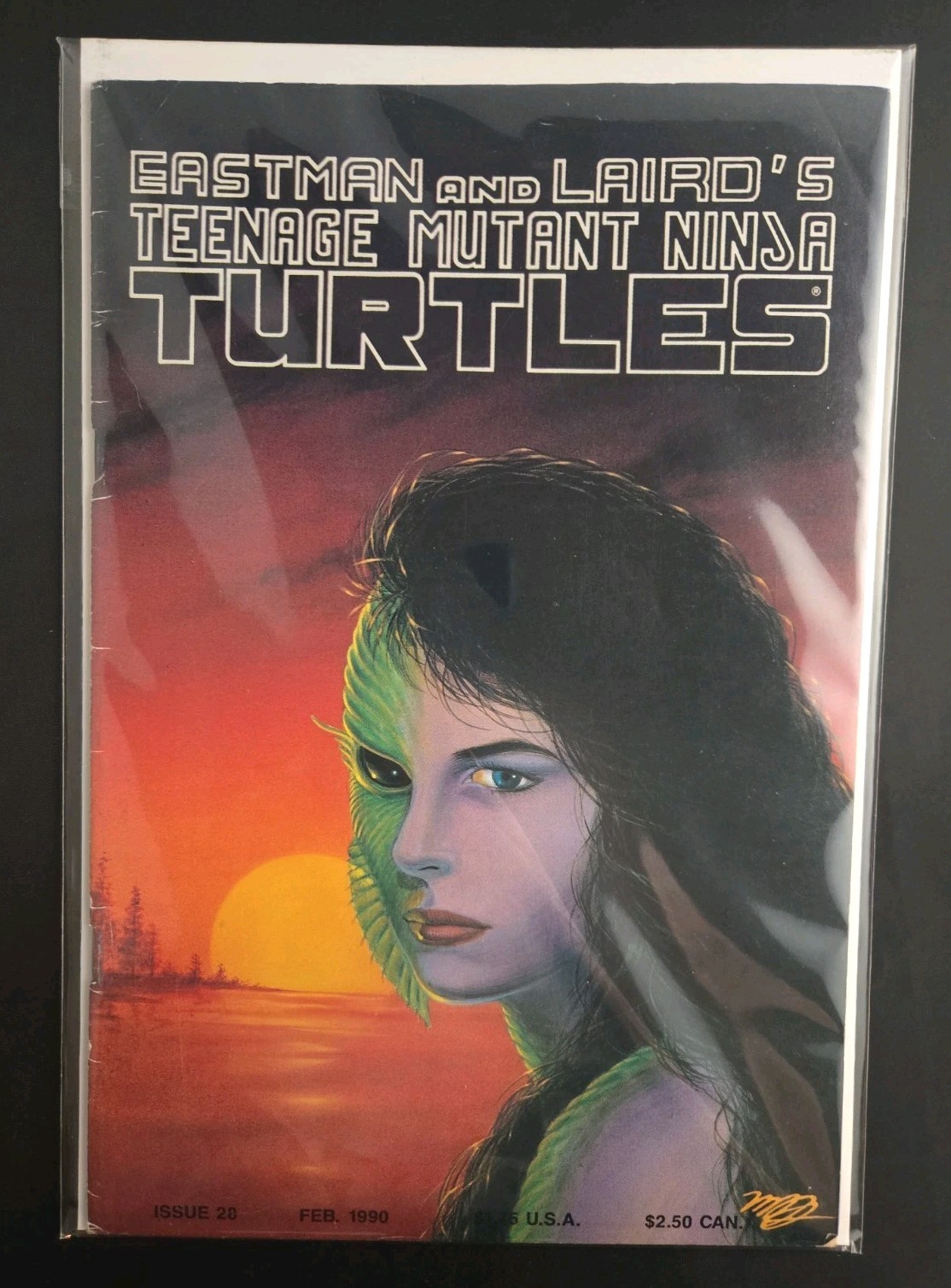 Teenage Mutant Ninja Turtles #28 (Mirage Studios February 1990)