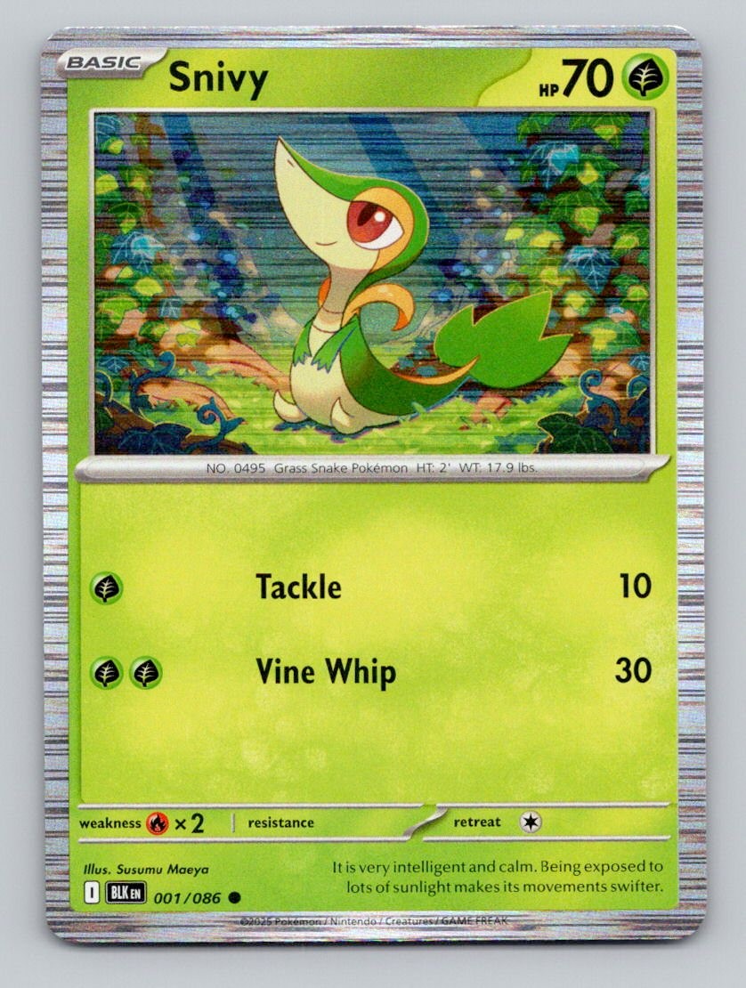 Snivy 001/086 Common Black Bolt Pokemon Holo Near Mint