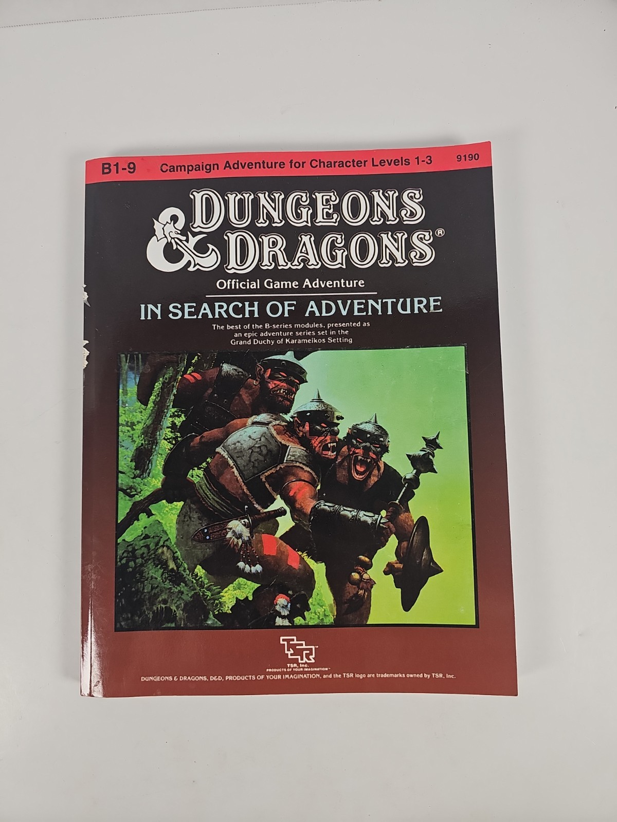 Dungeons And Dragons B1-9 Book Dungeons And Dragons B1-9 Book