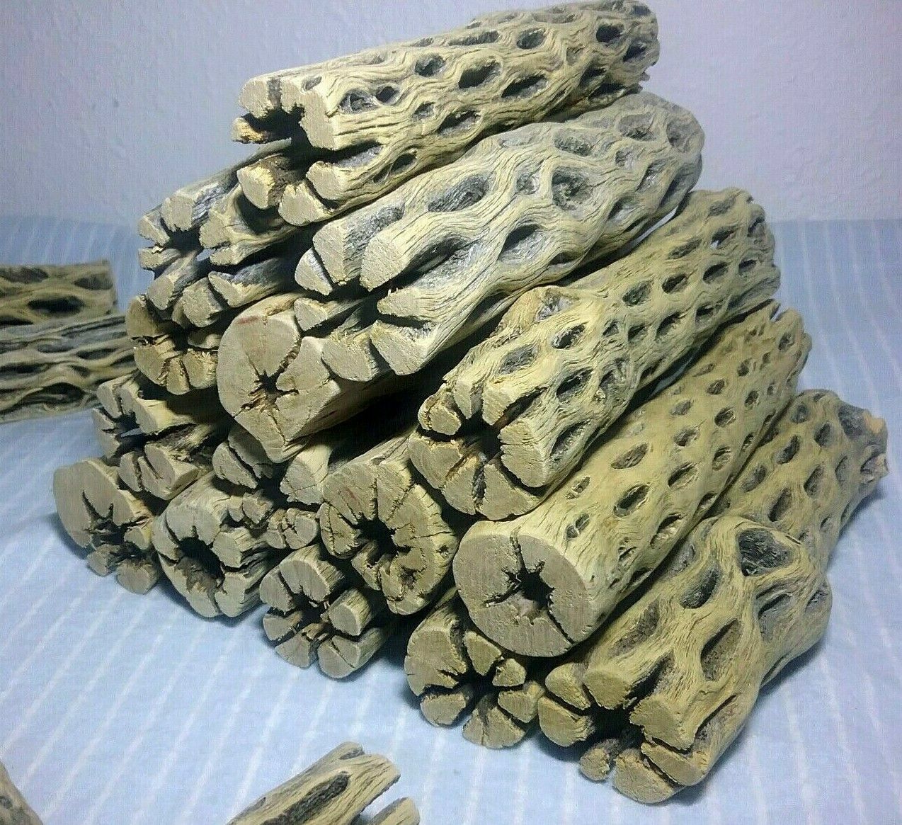 12 LARGE 6\