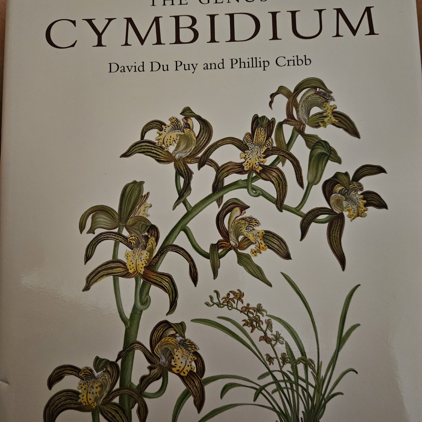 Botanical Magazine Monograph. The Genus Cymbidium by Phillip ... - 9781842461471 Botanical Magazine Monograph. The Genus Cymbidium by Phillip ... - 9781842461471