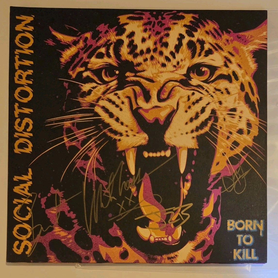 SOCIAL DISTORTION FULL BAND SIGNED BORN TO KILL VINYL NEW MIKE NESS SOCIAL DISTORTION FULL BAND SIGNED BORN TO KILL VINYL NEW MIKE NESS