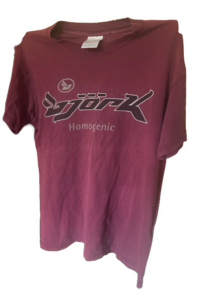 1990s Bjork Homogenic Vintage Shirt Screen Stars OG Rare Size Small