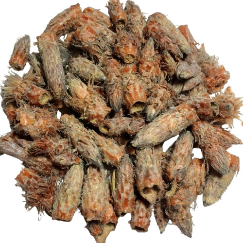 Dried Pine Buds  – Natural Herbal Remedy / Premium Quality / 