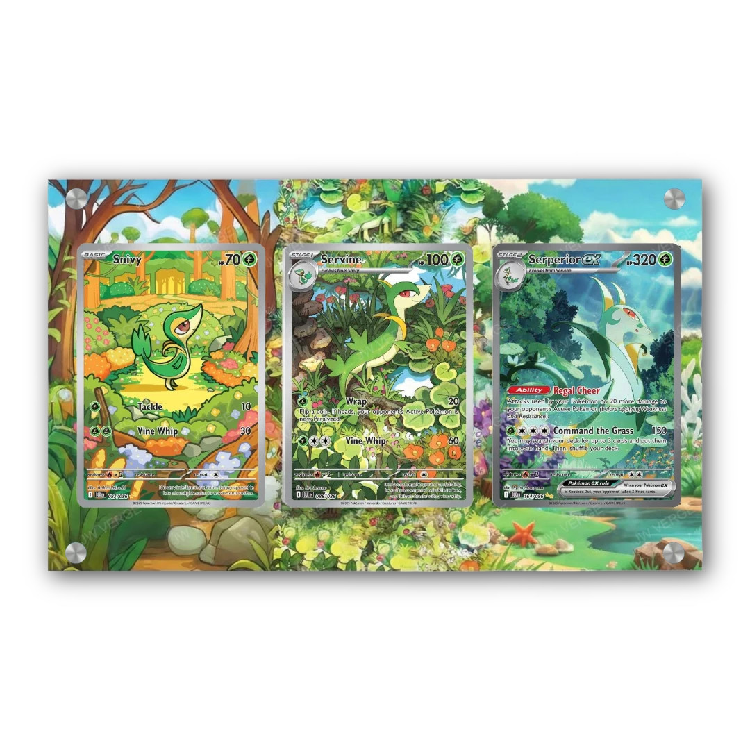 Snivy & Servine & Serperior EX - Exclusive Pokémon Extended Artwork Display Case