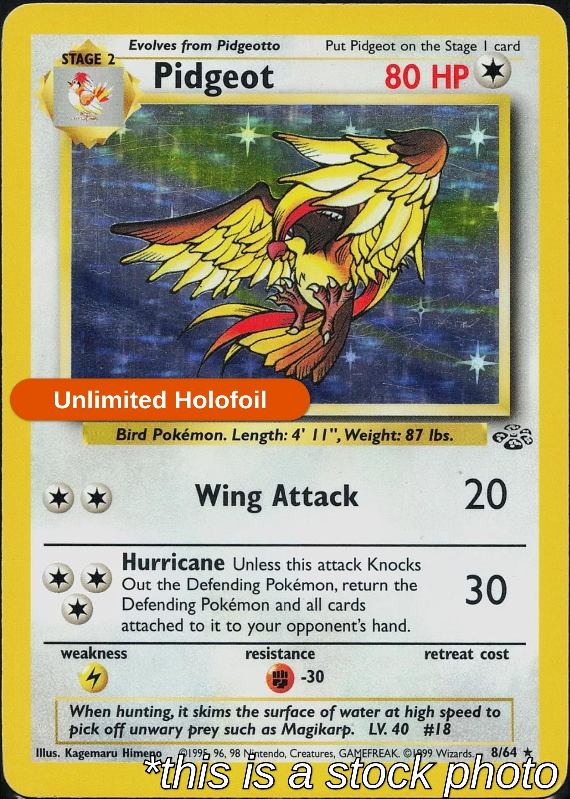 Unlimited Holofoil - Pidgeot (8) - 08/64 - Jungle - DM