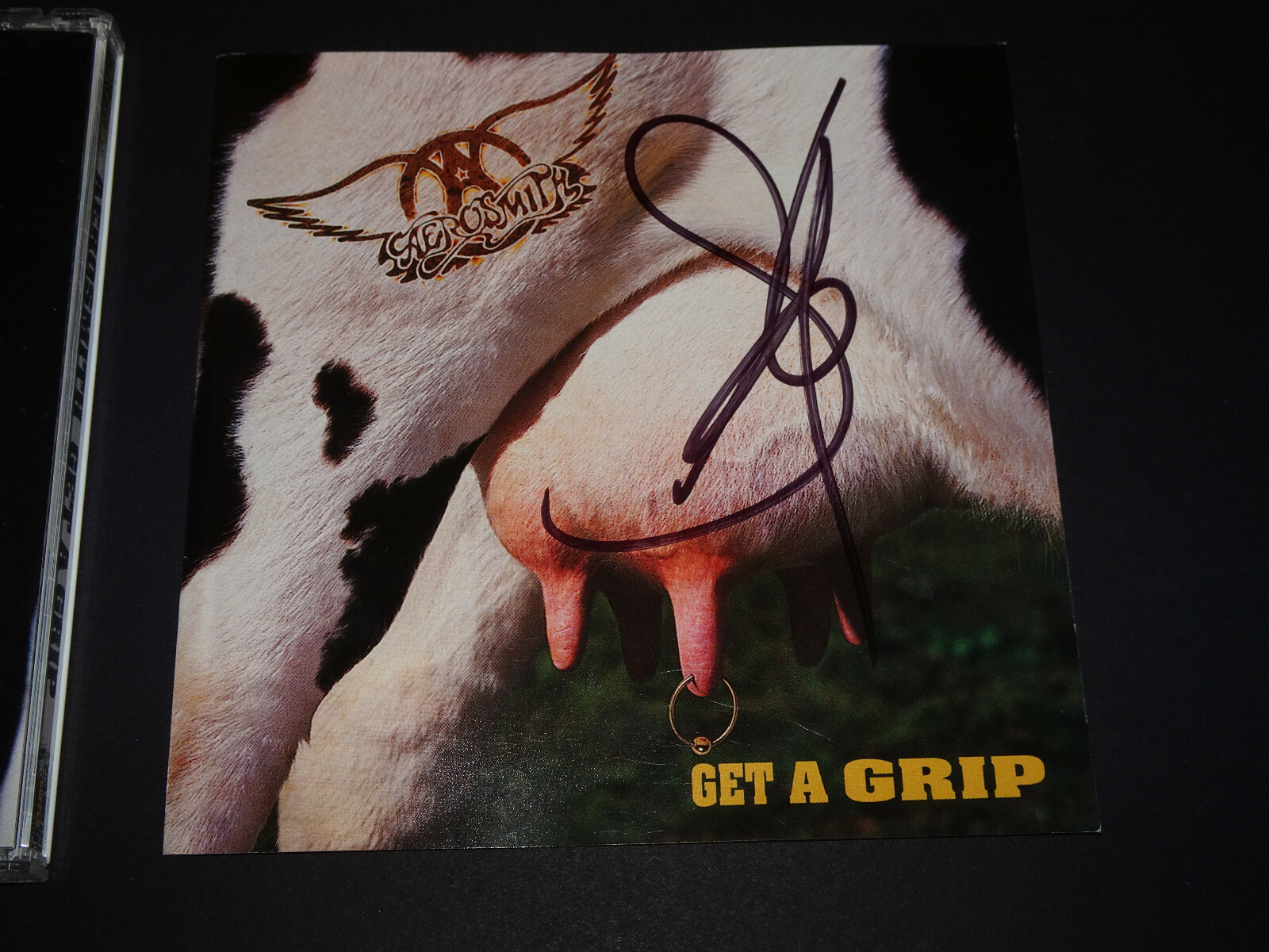 STEVEN TYLER SIGNED AUTOGRAPHED AEROSMITH CD GET A GRIP JAPANESE IMPORT CRYIN\'