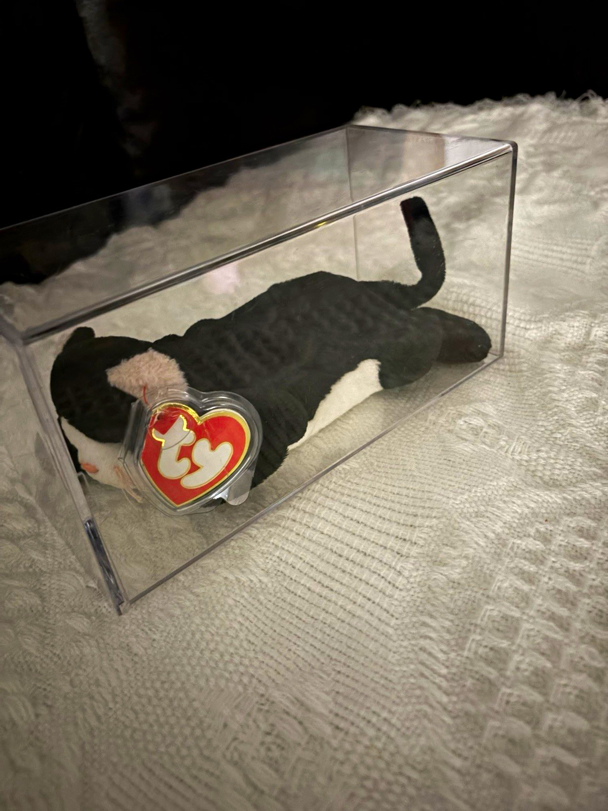💎HARD TO FIND-Ty Beanie baby Zip the all black Cat (White Face Ver.)early 3/1😻