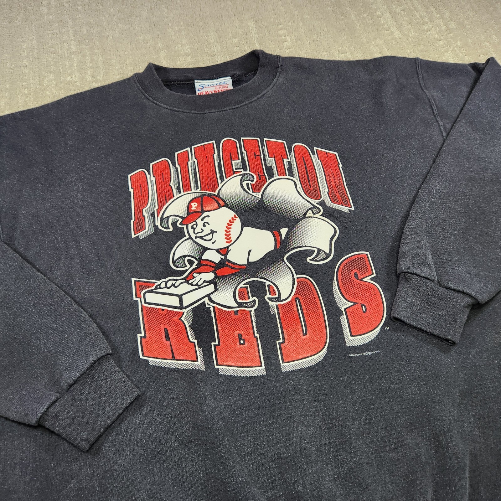 Vintage Minor League Baseball Sweatshirt Men XL Princeton Reds Defunked USA Made