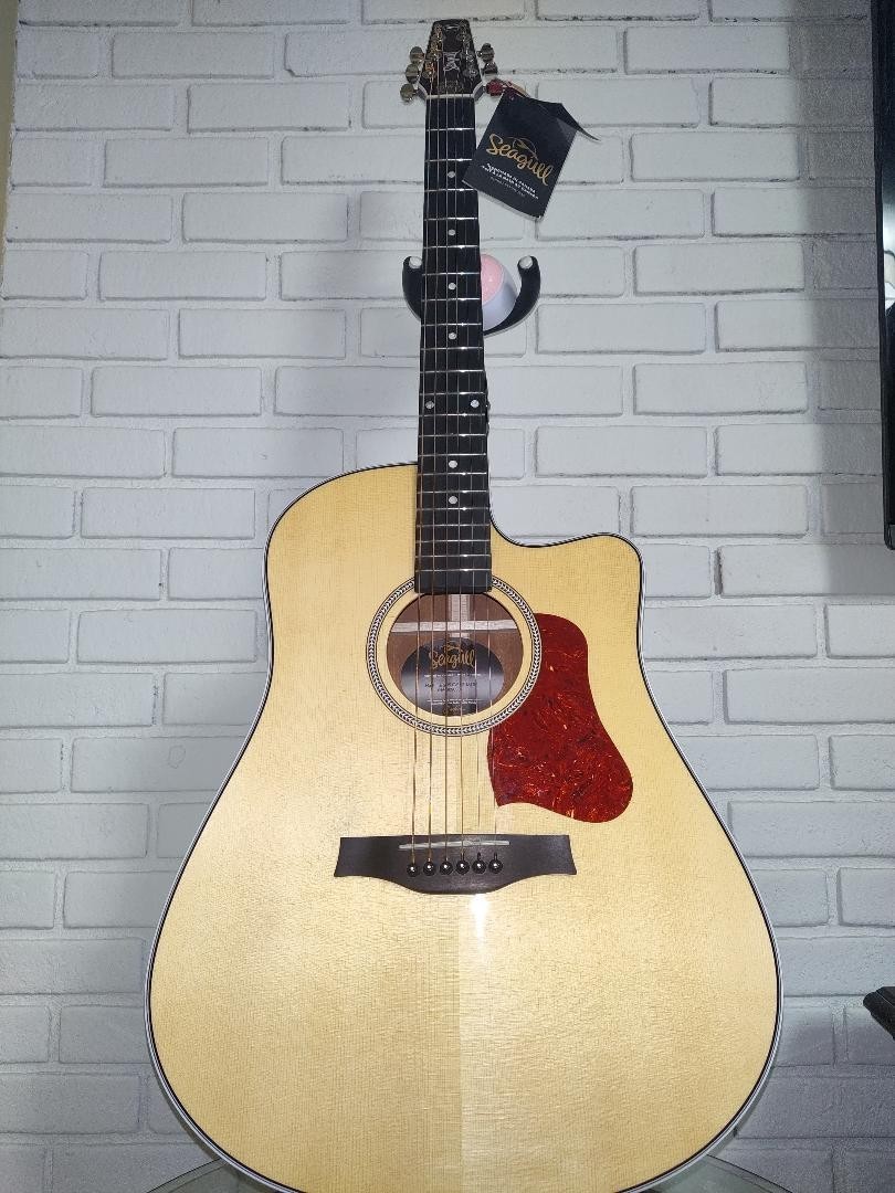 Seagull Maritime SWS CH CW Presys II w/ ROAD RUNNER CASE Exceptional  condition.