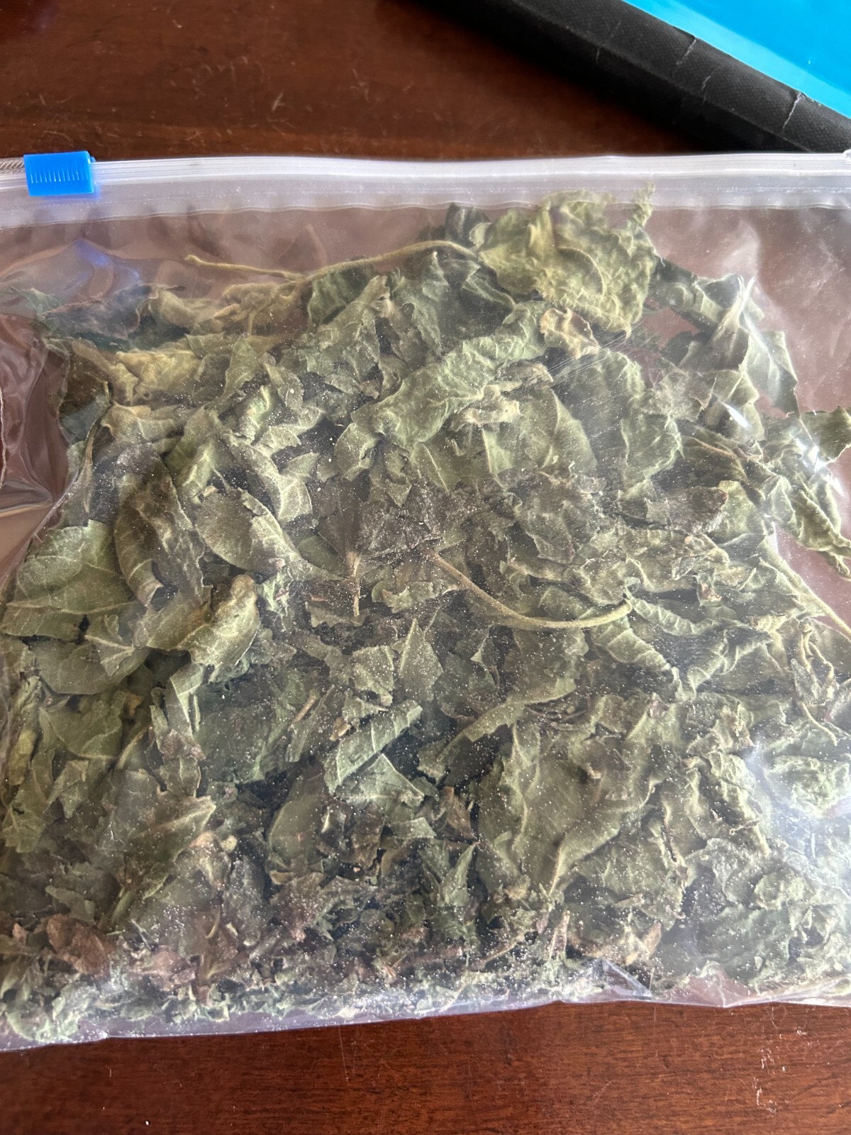 Bagged & Dried Rompe Saraguey |Herb Cutting | Ewe | Bunch | Cleansing | Bagged & Dried Rompe Saraguey |Herb Cutting | Ewe | Bunch | Cleansing |