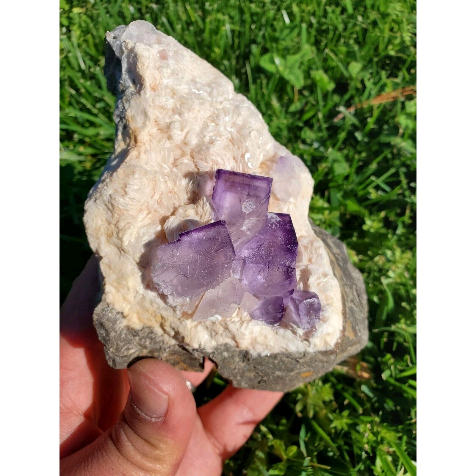 2.37Lb  Rare purple Fluorite with phantoms cubes on white barite