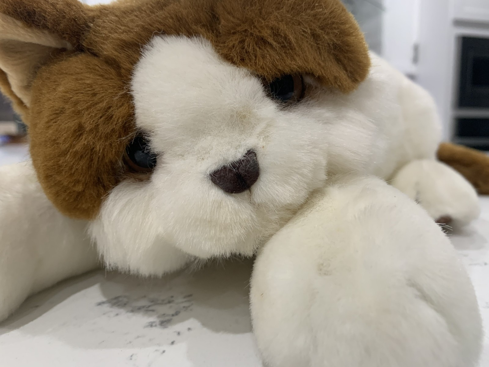 Vintage Dakin Lou Rankin Friends SASHA CAT Plush Stuffed Longhair Kitty 15